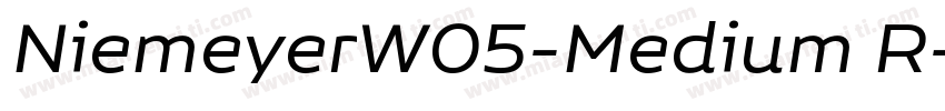 NiemeyerW05-Medium R字体转换